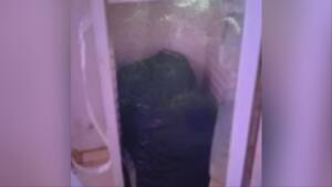 Corpo de mulher é encontrado dentro de geladeira no Espírito Santo
