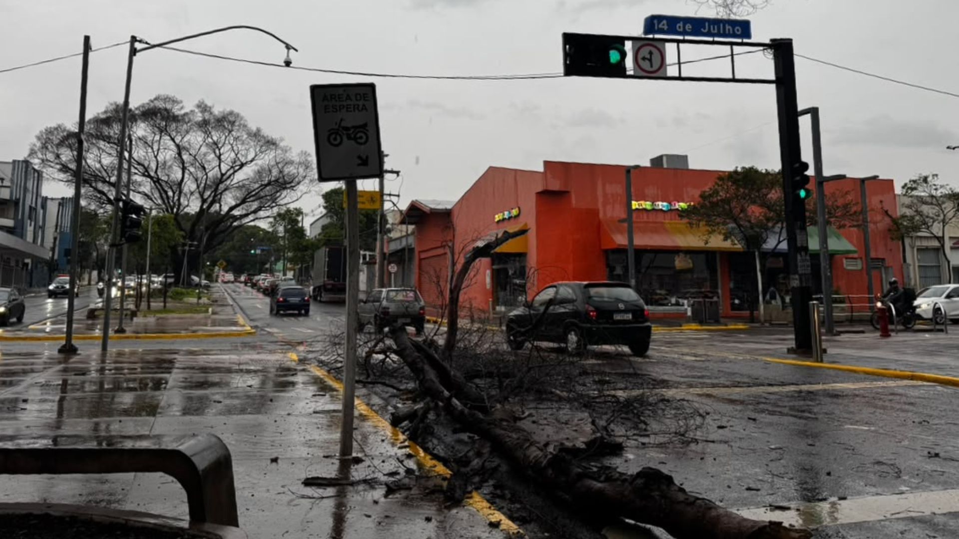 Galho cai na Avenida Mato Grosso e interdita parte da pista no sentido bairro