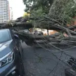 Respostas à crise climática exigem inovação, defende setor elétrico 