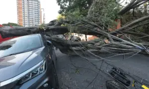 Respostas à crise climática exigem inovação, defende setor elétrico 