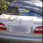 VÍDEO: Corolla roubado é encontrado ‘depenado’ em região de mata no Guanandi