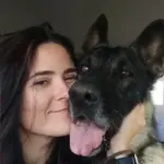 Morre veterinária atacada por pastor-belga do Senado em Brasília