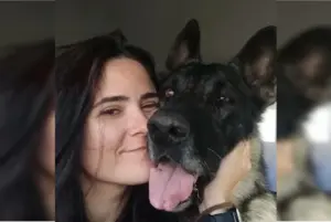 Morre veterinária atacada por pastor-belga do Senado em Brasília