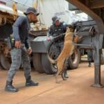 Movimentação de policiais no Macroanel Rodoviário chama a atenção