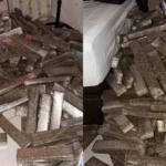 Mais de 1,6 tonelada de maconha é apreendida em casa no Assentamento Vale do Sol em Campo Grande