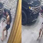 VÍDEO: Ana Castela se desespera ao encontrar animal selvagem em casa