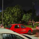 Chuva destelhou sua casa ou arrancou árvore? Saiba quem acionar em Campo Grande