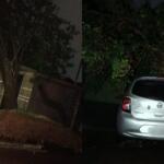 Temporal derruba árvores e atinge carros e casa no Parque dos Novos Estados