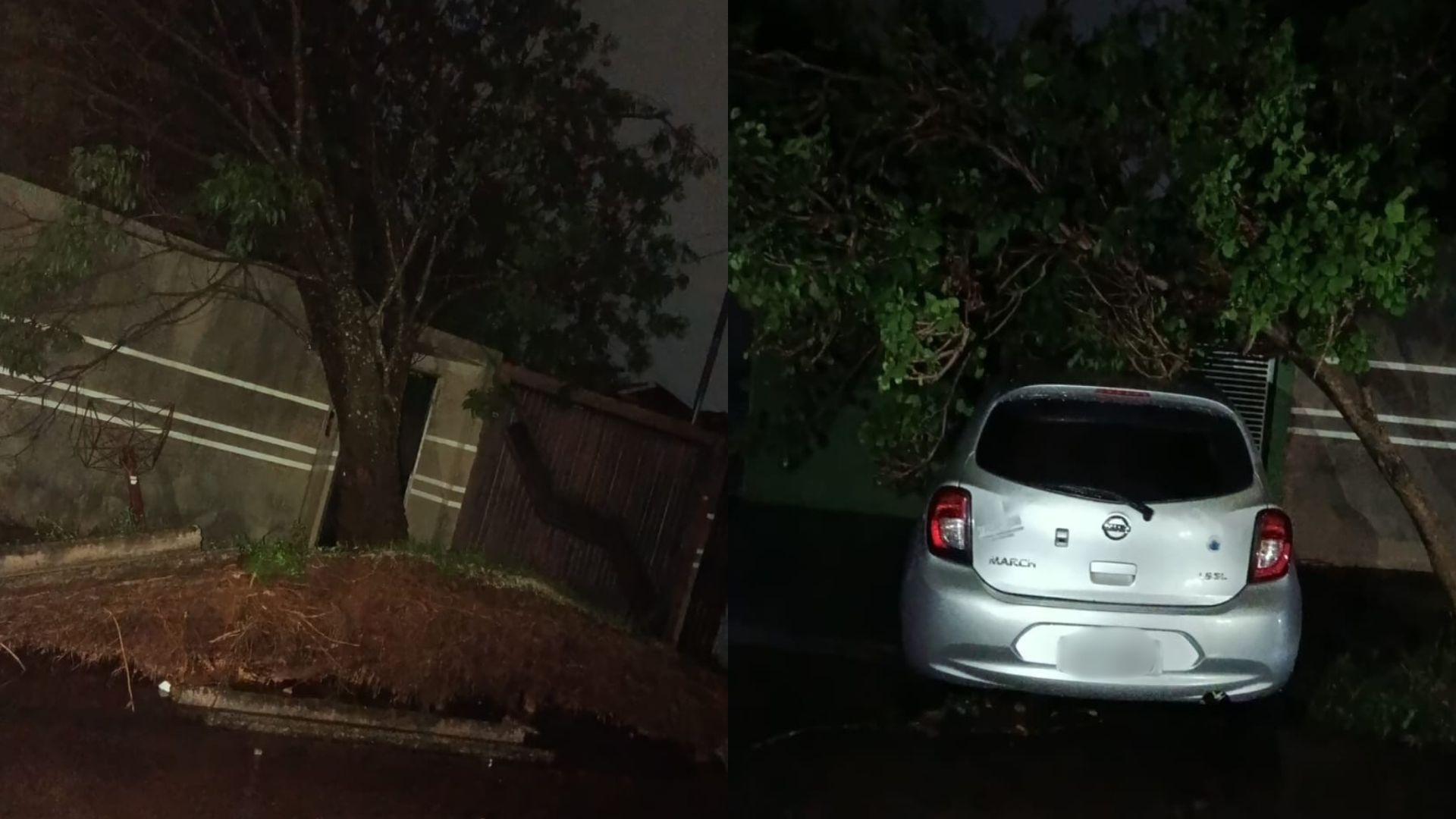 Temporal derruba árvores e atinge carros e casa no Parque dos Novos Estados
