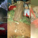 Sem seguro, motorista tem Uno atingido por árvore durante temporal em Campo Grande