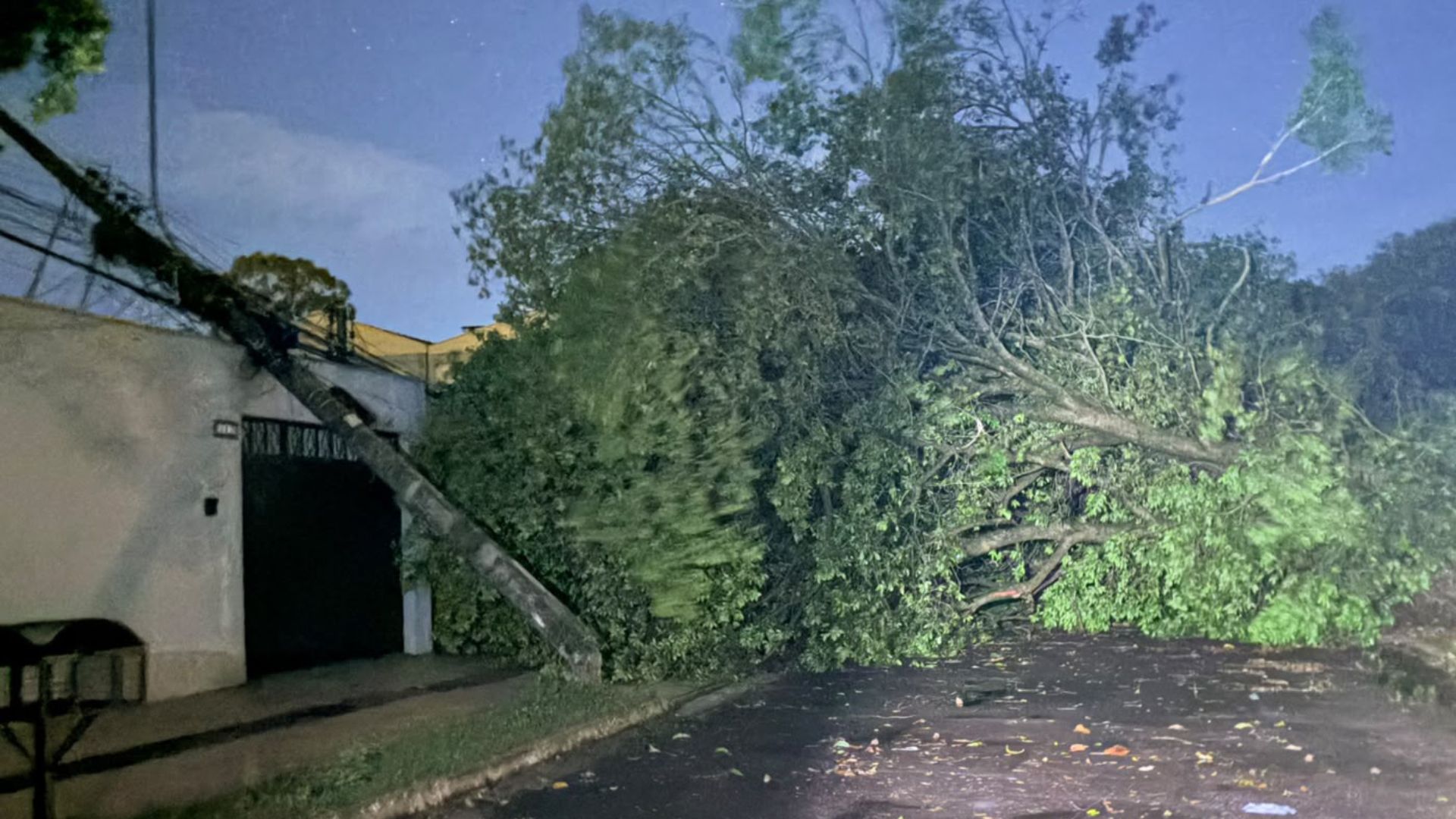 Árvore tomba sobre fiação, quebra poste e bloqueia rua no Parque dos Novos Estados
