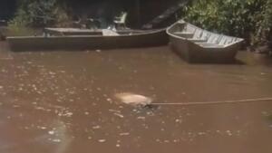 Moradores encontram corpo boiando em Águas do Miranda