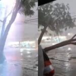 Vídeo mostra momento em que árvores caem sobre fiação e quebram poste em Campo Grande