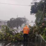 São Paulo suspende aulas da rede estadual devido a ciclone extratropical