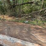 Motorista atropela casal e tenta fugir em área de mata na Vila Piratininga