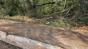 Motorista atropela casal e tenta fugir em área de mata na Vila Piratininga