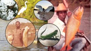 Encantador de animais? Há 60 anos no Pantanal, homem narra histórias fantásticas com a fauna de MS