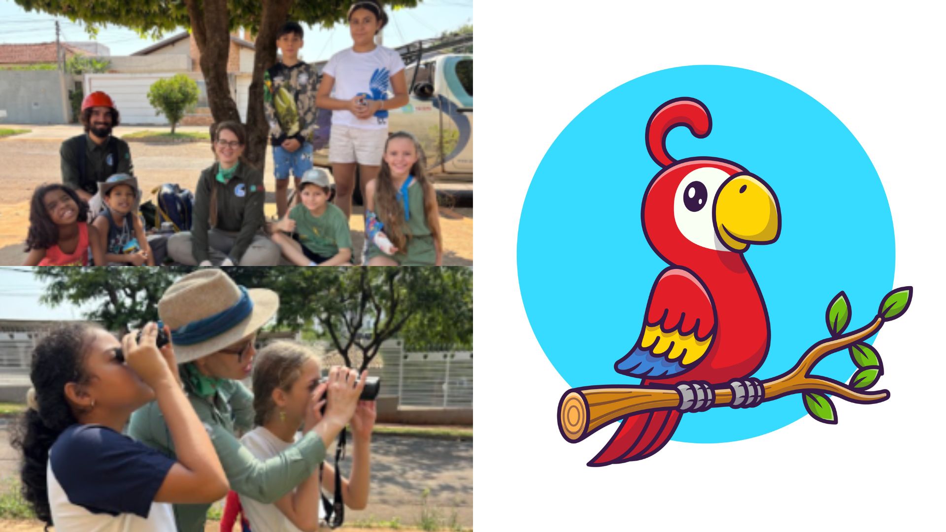 Concurso para crianças premia os vencedores com um dia de pesquisador no Instituto Arara Azul