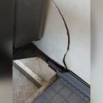 VÍDEO: Usuários denunciam ônibus com bancos e paredes quebrados: ‘dá até medo’
