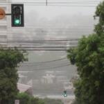 Névoa ou neblina? Saiba o que é o fenômeno que encobre prédios e reduz a visibilidade
