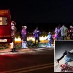 Motorista atropela cavalo na BR-060 e ciclistas encontram jovem desacordado