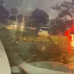 Árvore de grande porte cai sobre carro durante temporal na Avenida Toros Puxian