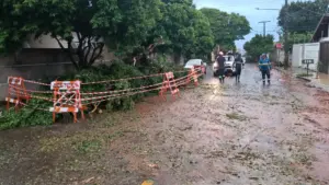 Temporal gera 3,8 mil ocorrências e mobiliza mais de 350 pessoas em Campo Grande