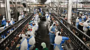 Produção de carnes deve crescer 2% em 2026 e chegar a 34,08 milhões de toneladas