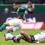 Palmeiras empata com Botafogo e perde liderança do Brasileirão