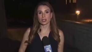 VÍDEO: Repórter é ‘atacada’ por barata voadora em link ao vivo
