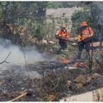 VÍDEO: Bombeiros combatem cinco incêndios quase simultâneos e evitam que fogo atinja casas em Corumbá