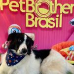 Odin é internado após crises de epilepsia e família pede ajuda para tratamento