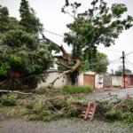 Árvore cai sobre casa e moradores ficam sem energia por três dias após temporal