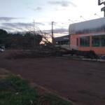 Árvore continua caída quase em cruzamento com a Júlio de Castilho desde temporal