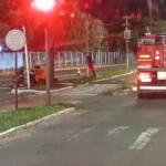 Motociclista bate em árvore na Avenida Gury Marques
