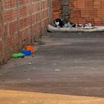 Cachorro espancado com cabo de vassoura no Tiradentes teve de ser reanimado em Campo Grande