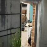 VÍDEO mostra passagem secreta que levava à oficina de desmanche de motos furtadas