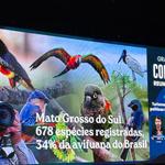 Evento reúne mais de mil inscritos para discutir a conservação e biodiversidade em MS