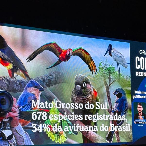 Quer se qualificar em 2026? IFMS oferece 44 cursos livres gratuitos, de ...