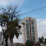 Tempo permanece firme em MS nesta quinta, com aberturas de sol e variação de nebulosidade