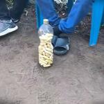 PRF prende 28 bolivianos com cápsulas de cocaína no estômago