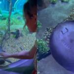 Visitante acredita ter encontrado uma ‘conexão’ no Bioparque, mas confunde anatomia de arraia