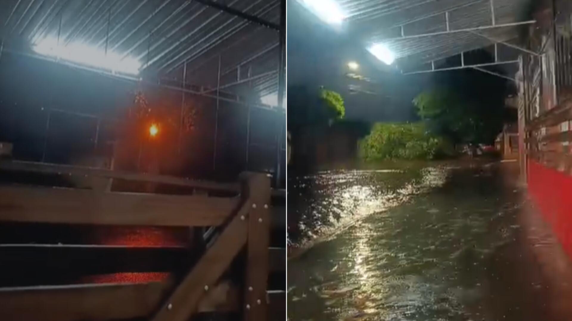 Árvore cai sobre carro e fios elétricos provocam incêndio em poste na Av. Presidente Vargas