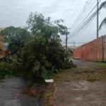 Mais de 20 bairros estão há 36 horas sem energia após tempestade em Campo Grande