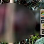 Identificado homem encontrado morto em fazenda de Caarapó