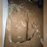Casal mata mulher, enterra o corpo e fica com filho da vítima