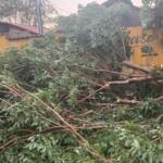 Temporal em Corumbá teve ventos de 87 km/h, destelhamentos de casas e queda de árvores