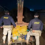 Justiça mantém prisão de motorista flagrado com 3 toneladas de maconha na BR-060