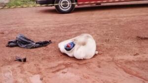 Jovem é morto enforcado em tribunal do crime e quatro são presos horas depois