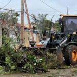 Quedas de árvores e galhos lideram chamados após temporal em Campo Grande 